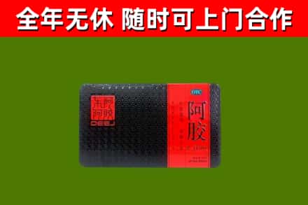 四会市回收阿胶